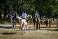 Reiten unter der Zypresse