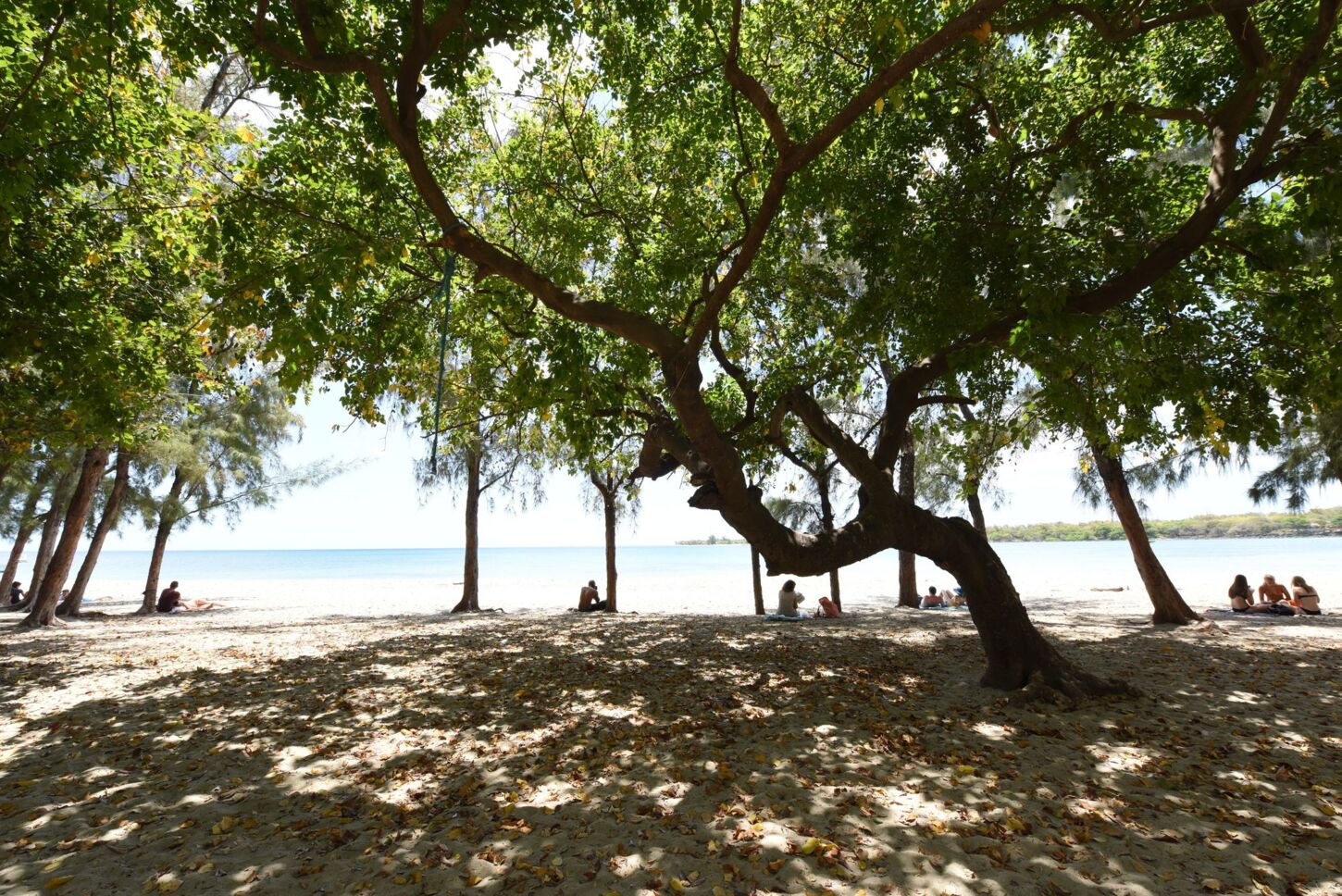 Strand