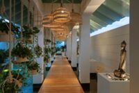 Wellness & Spa