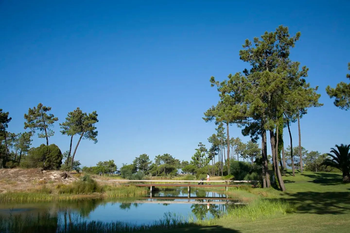 Golfplatz