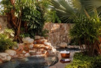 Wellness & Spa