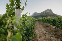 Weingut