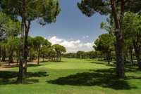 Golfplatz