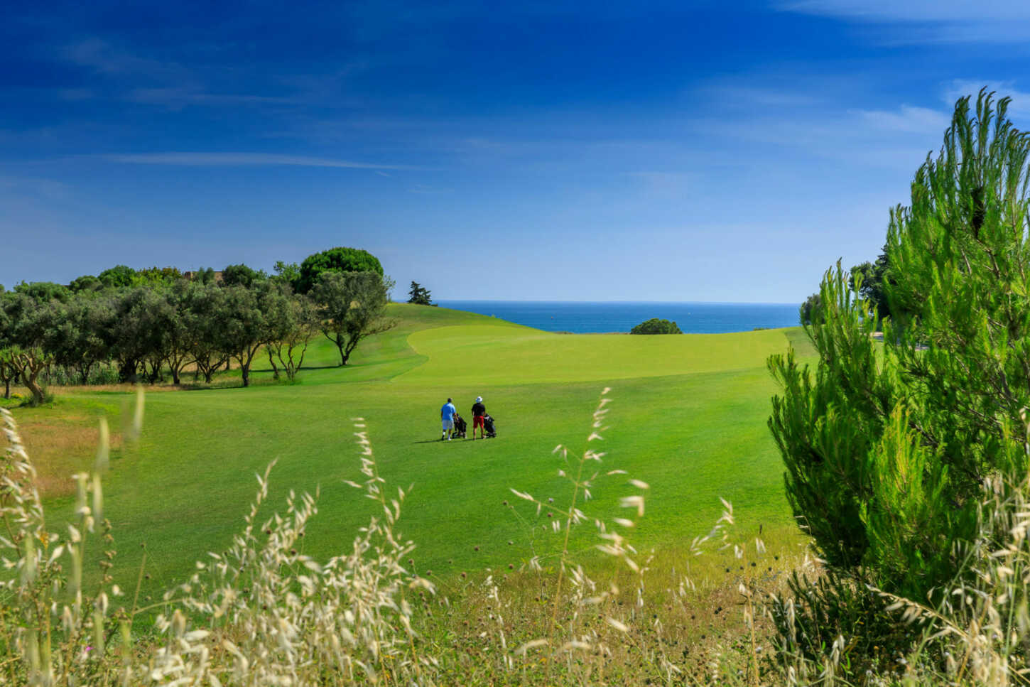Golfplatz