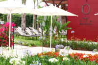 Wellness & Spa