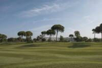 Golfplatz