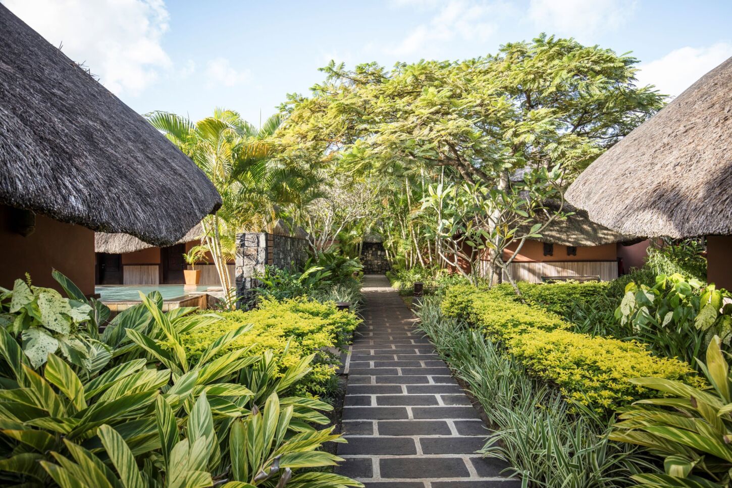 Wellness & Spa