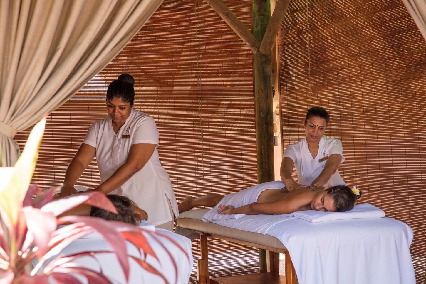 Wellness & Spa