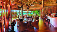 Lotus lounge bar