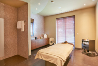 Wellness & Spa