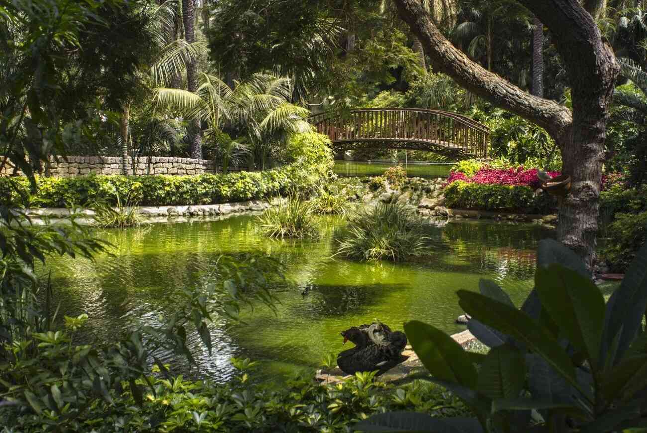 Botanische Gärten