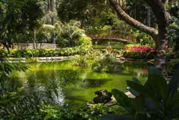 Botanische Gärten