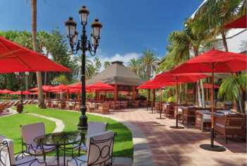 Palmera Real
