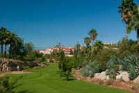 Pitch & Putt