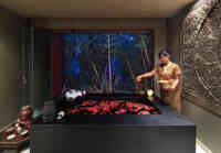 Wellness & Spa
