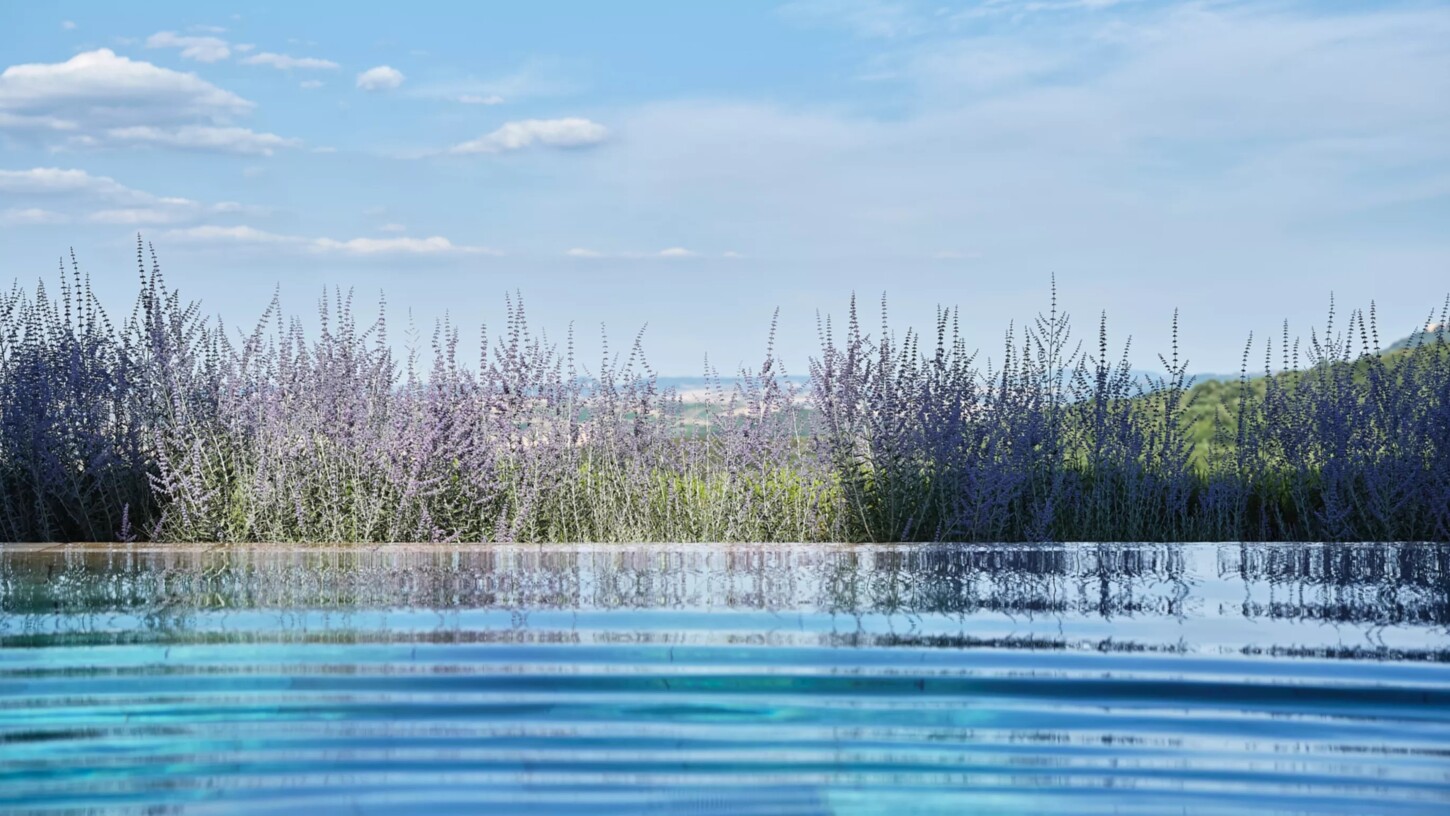 Hotel Castiglion del Bosco 48528