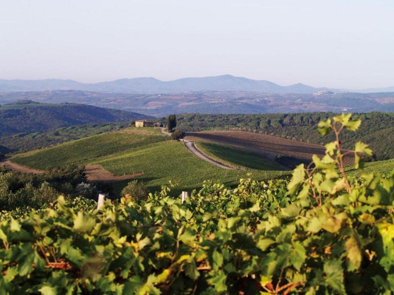 Die Anlage Castiglion del Bosco liegt inmitten des Weinanbaugebiets Val d'Orcia in der Toskana.