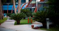 Meeting & Events