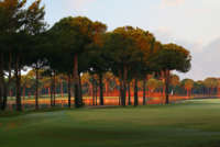 Gloria Verde Golfplatz