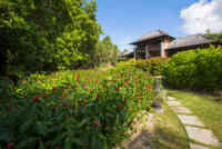Tropical Zimmer mit Gartenblick