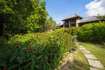 Tropical Zimmer mit Gartenblick