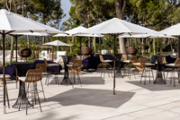 Saba Bar
