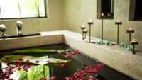 Wellness & Spa