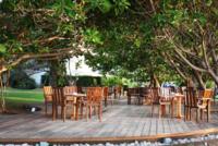 The Tree Deck