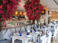 Ammos Greek Restaurant