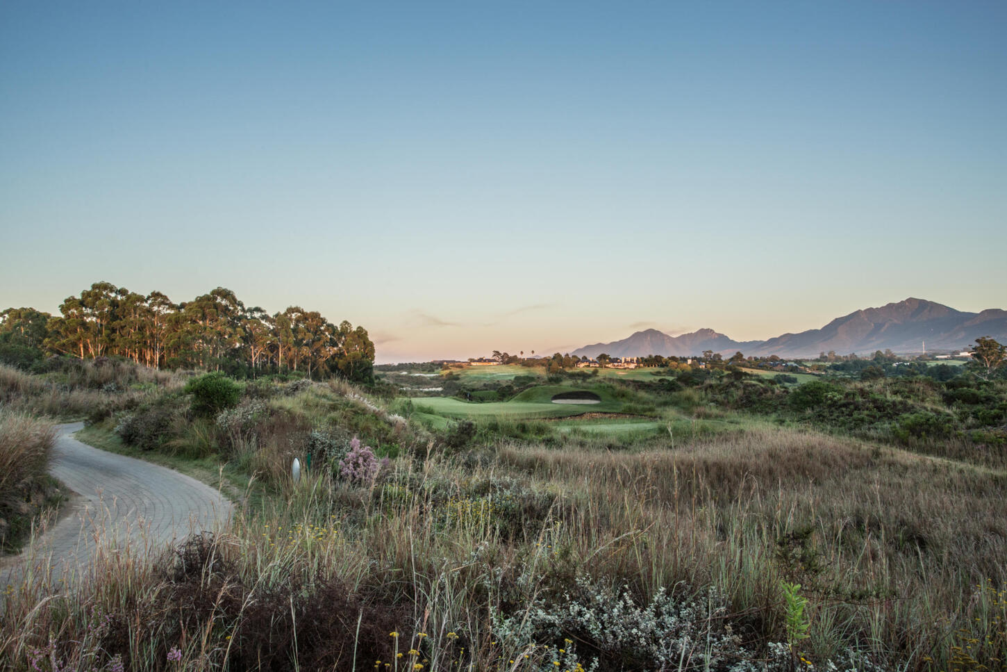 Golfplatz- The Links at Fancourt