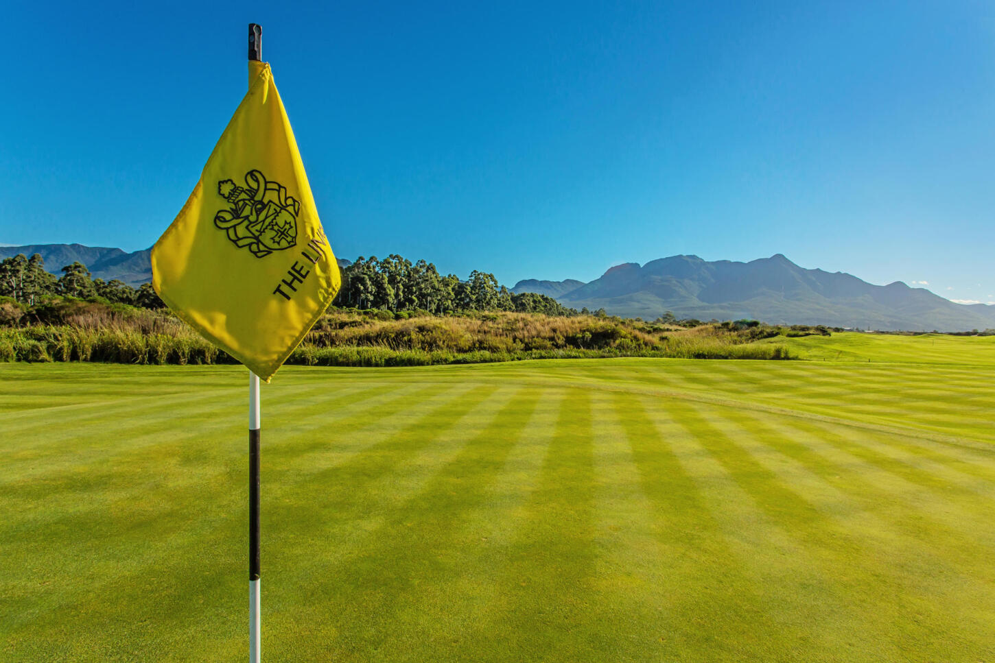 Golfplatz- The Links at Fancourt