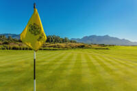 Golfplatz- The Links at Fancourt
