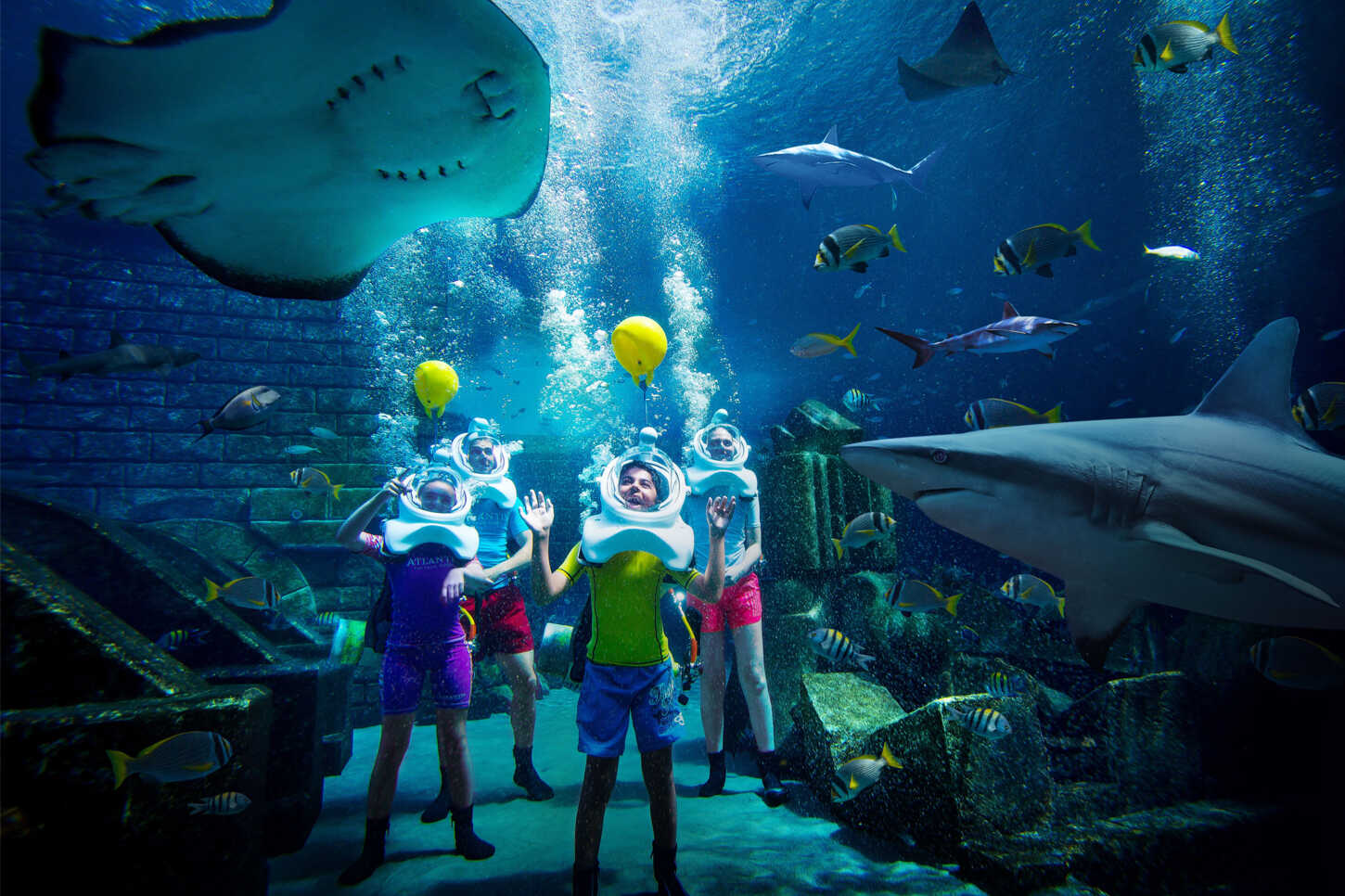 Aquarium