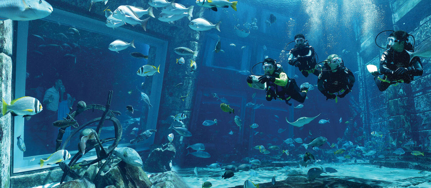 Aquarium