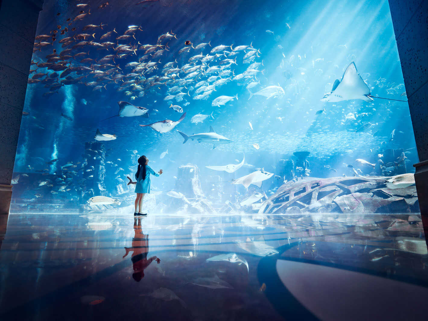 Aquarium