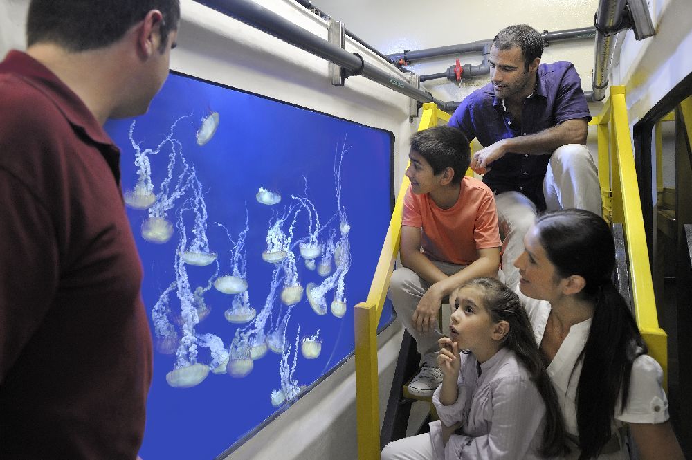 Aquarium