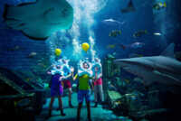 Aquarium