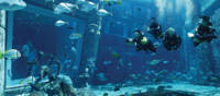 Aquarium