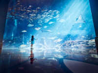 Aquarium