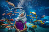 Aquarium