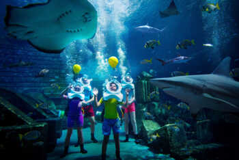 Aquarium