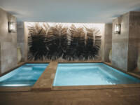 Wellness & Spa