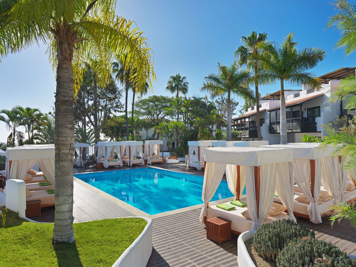 Pura Vida (adults only)