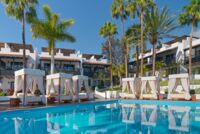 Pura Vida (adults only)