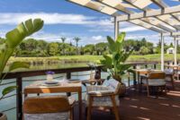 Blend Nikkei and Wine