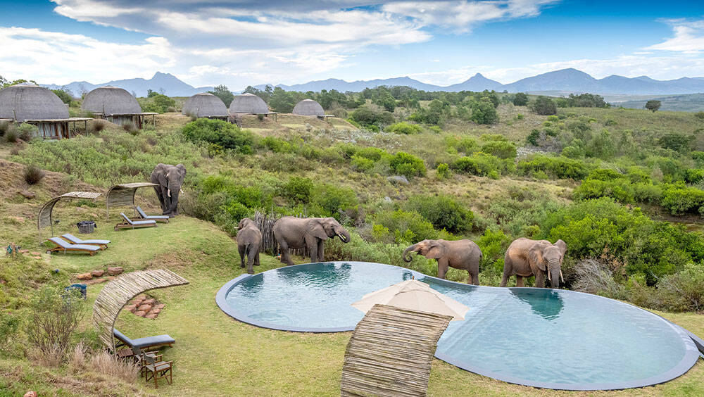 Pool -Kwena Lodge