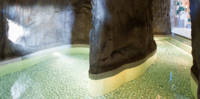 Wellness & Spa