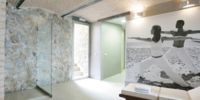 Wellness & Spa