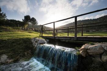 Bild Vom Genussflight zur sportlichen Herausforderung – Golfen auf Mallorca