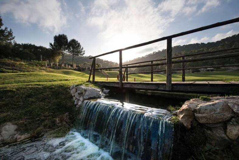 Bild Vom Genussflight zur sportlichen Herausforderung – Golfen auf Mallorca